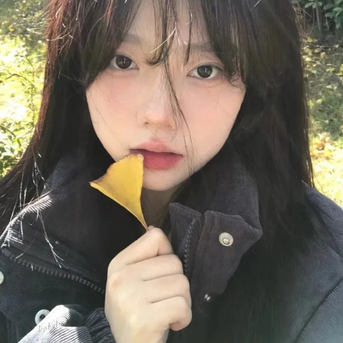 她和她的美丽岛